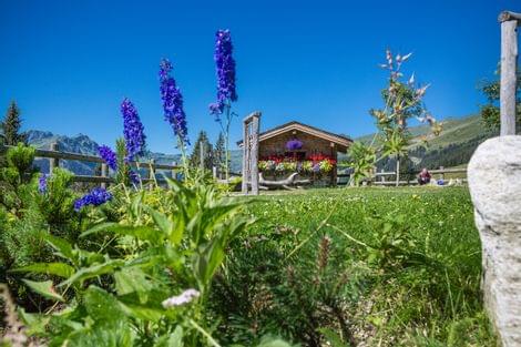 Sommergenuss auf der Rosswaldhütte