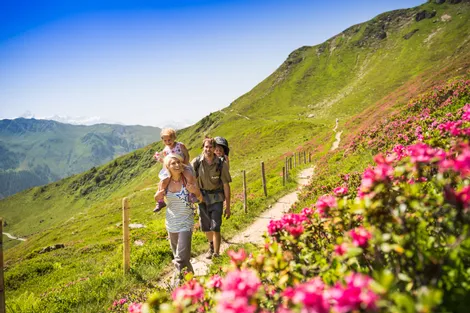 Wandern mit der Familie in der Saalbacher Bergwelt